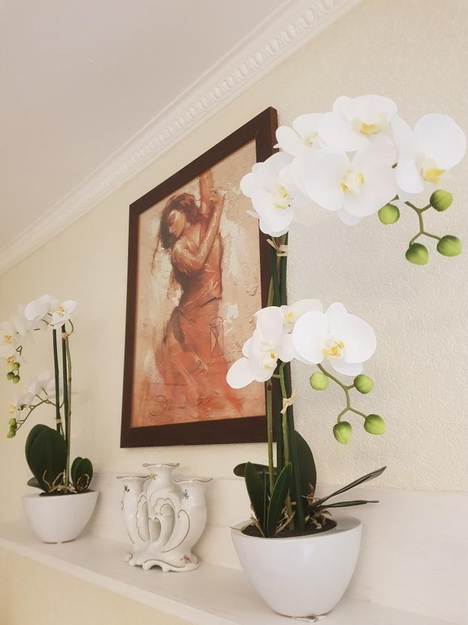 Ferienwohnung Baden Bliss エクステリア 写真
